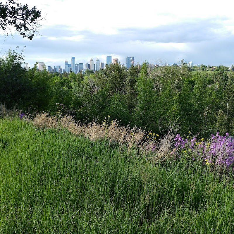 Elboya Off-leash Park dog park in Calgary, Alberta