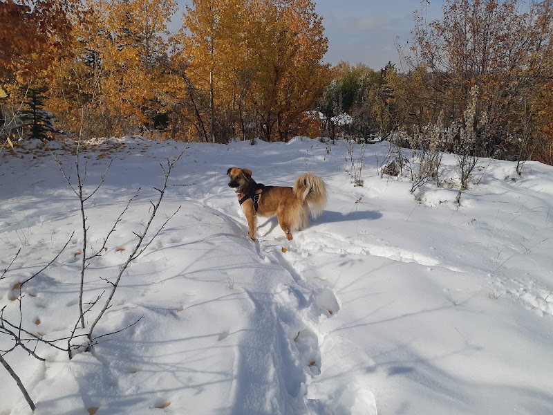 Elboya Off-leash Park dog park in Calgary, Alberta
