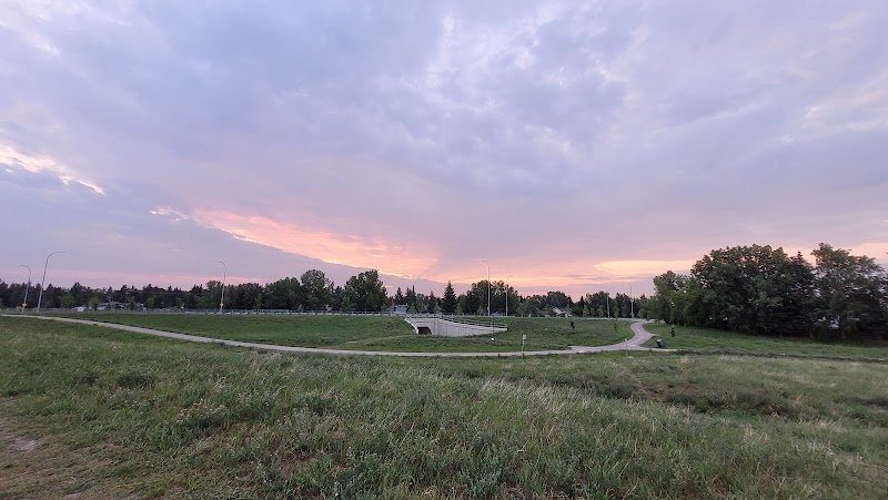 Bob's Bench offleash dog park in Calgary, Alberta