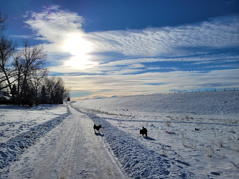 Bob's Bench offleash dog park in Calgary, Alberta