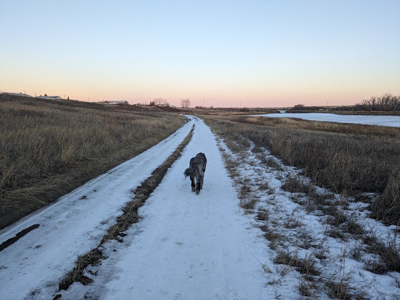 Bob's Bench offleash dog park in Calgary, Alberta