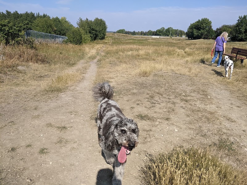 Bob's Bench offleash dog park in Calgary, Alberta