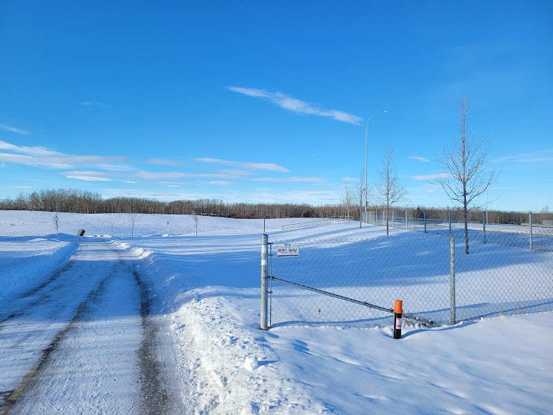 Bob's Bench offleash dog park in Calgary, Alberta