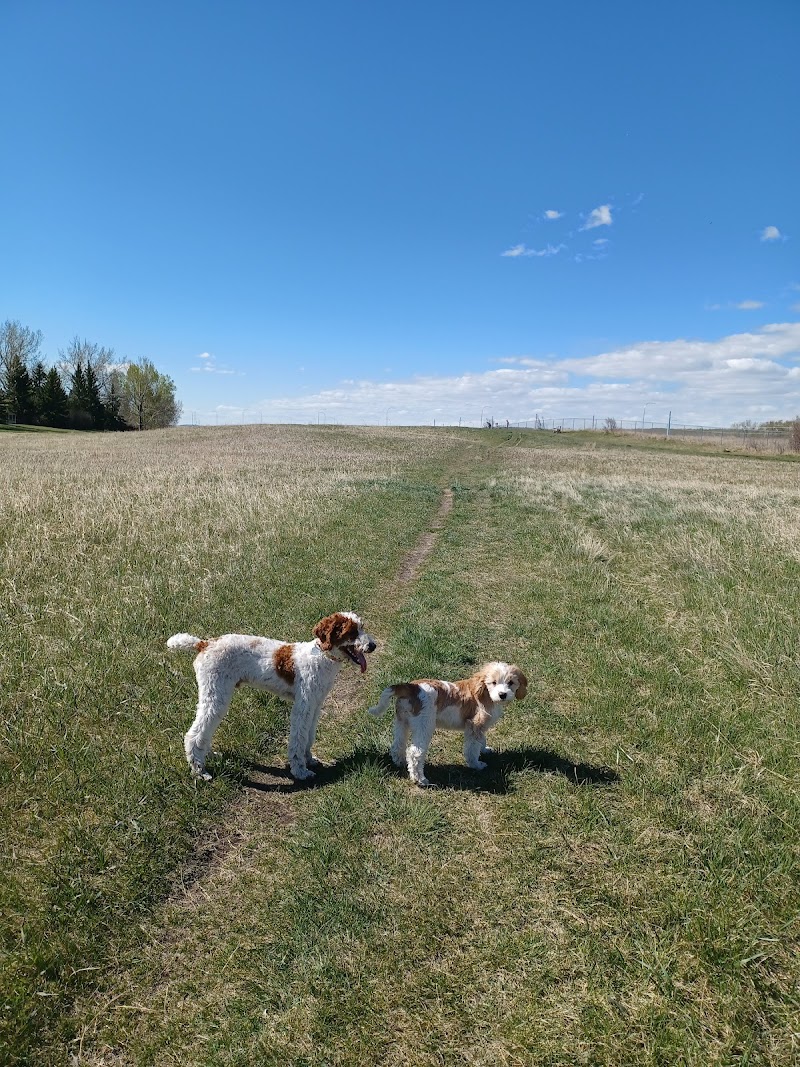 Anne Arnold Off Leash Park dog park in Calgary, Alberta