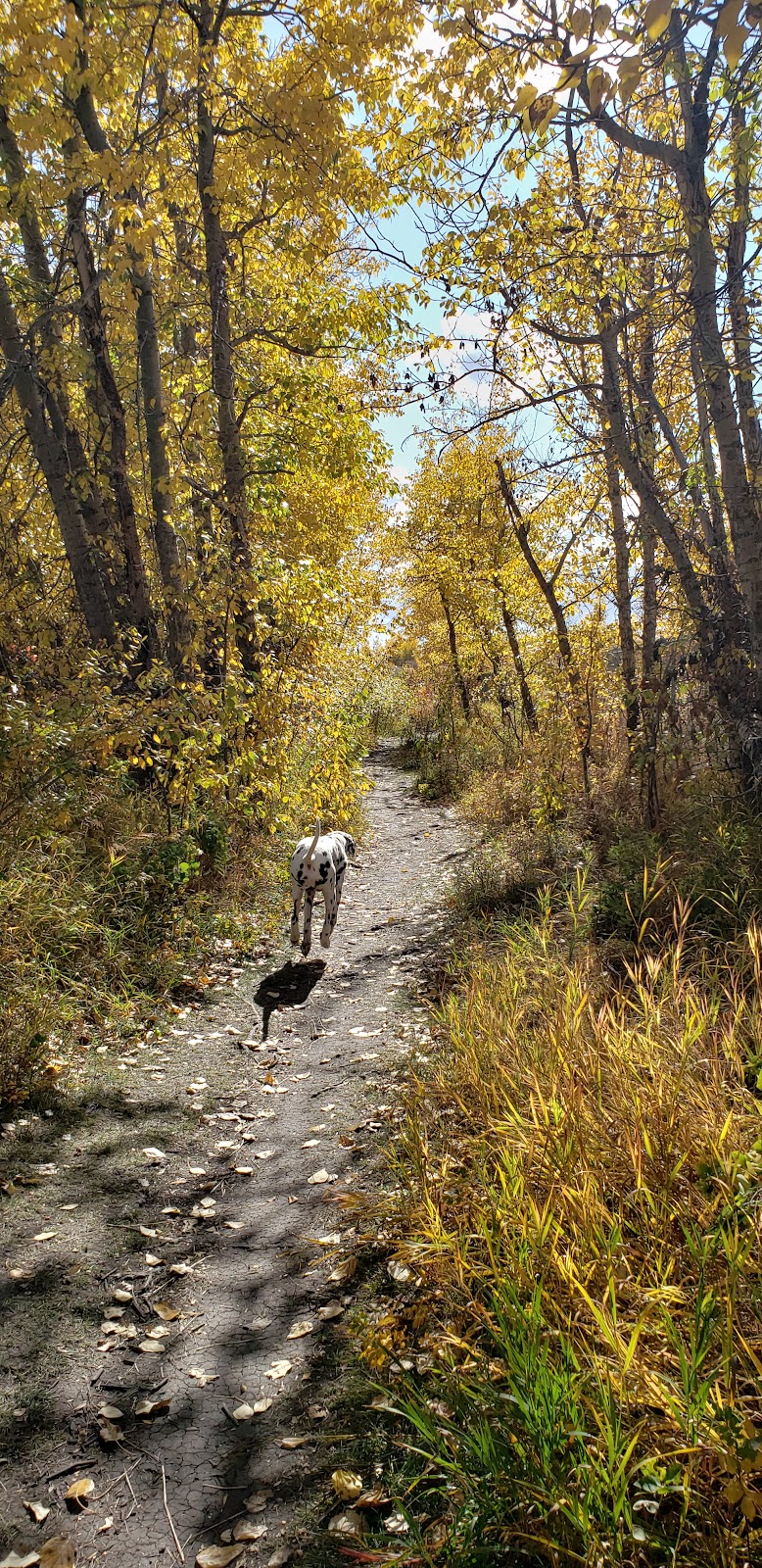 Anne Arnold Off Leash Park dog park in Calgary, Alberta
