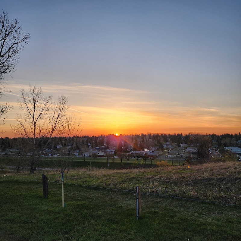 Bonavista Off Leash Area 3 (Along Ridge) dog park in Calgary, Alberta