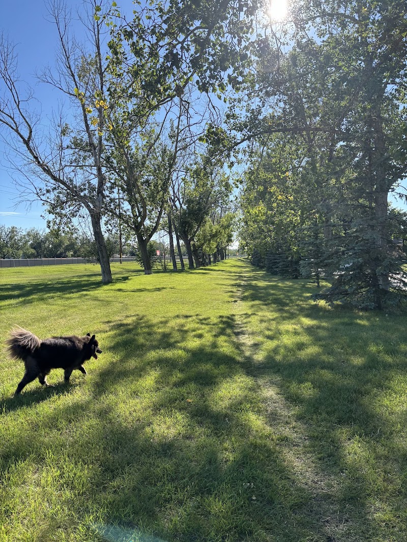 Willow Park Off-Leash Area dog park in Calgary, Alberta