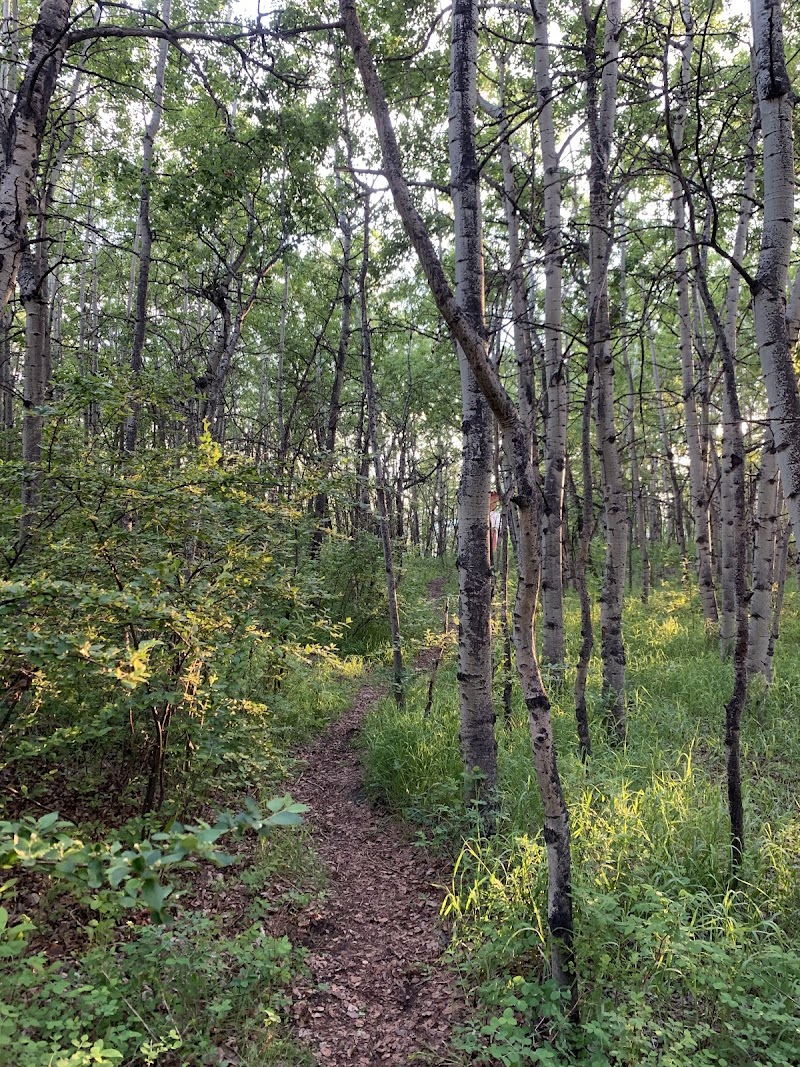 Ranchlands Off Leash Park dog park in Calgary, Alberta