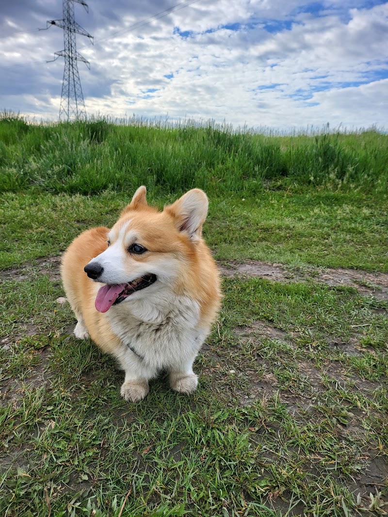 Evanston Off-Leash Dog Area dog park in Calgary, Alberta