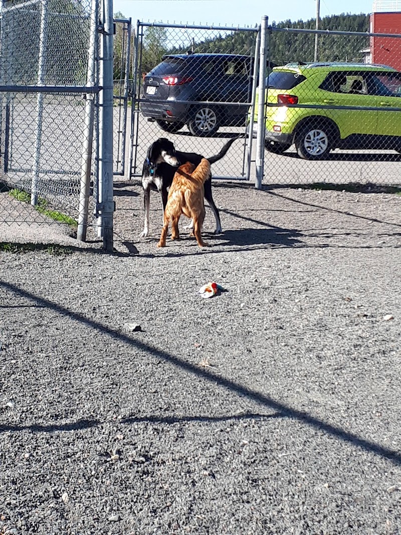 Grand Bay-Westfield Dog Park dog park in Grand Bay-Westfield, New Brunswick
