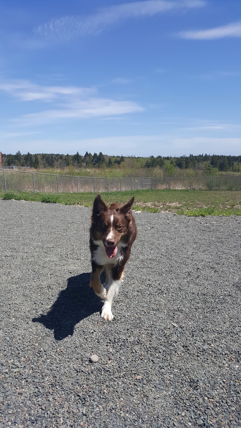 Grand Bay-Westfield Dog Park dog park in Grand Bay-Westfield, New Brunswick