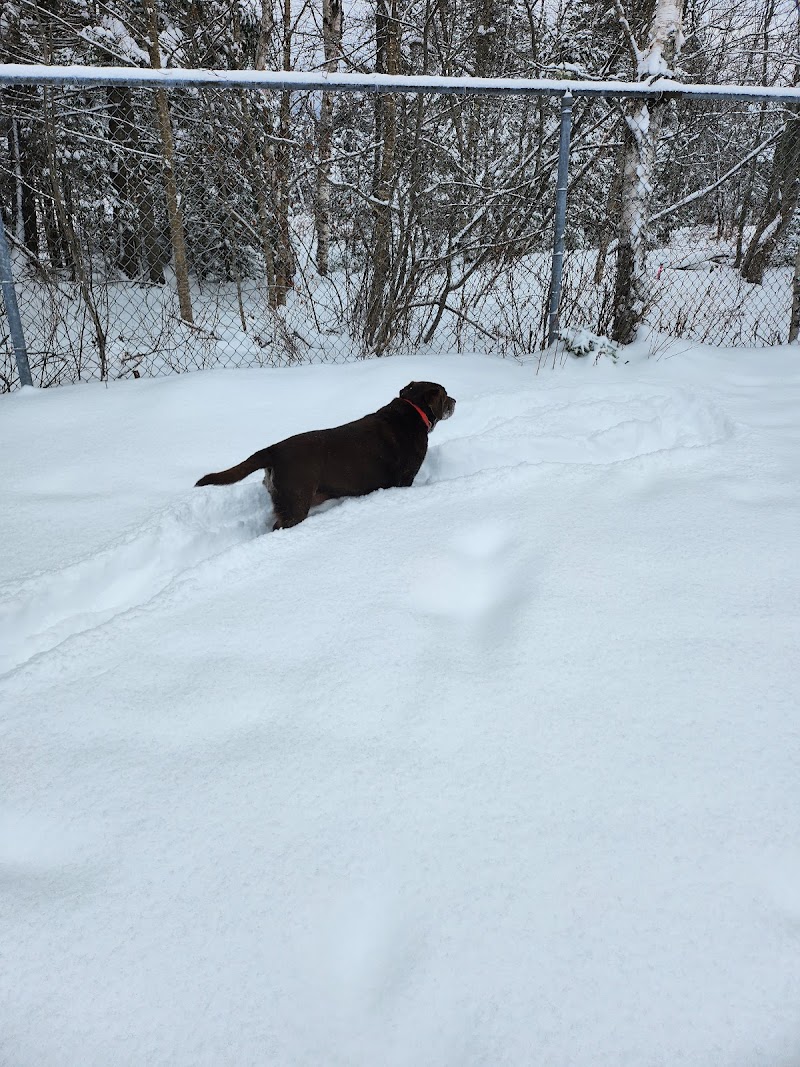 Grand Bay-Westfield Dog Park dog park in Grand Bay-Westfield, New Brunswick