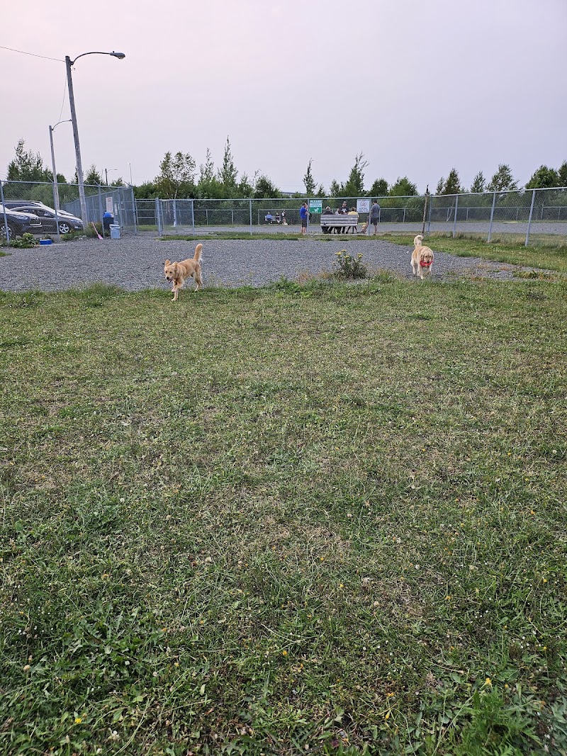 Grand Falls-Windsor Dog Park dog park in Grand Falls-Windsor, Newfoundland and Labrador