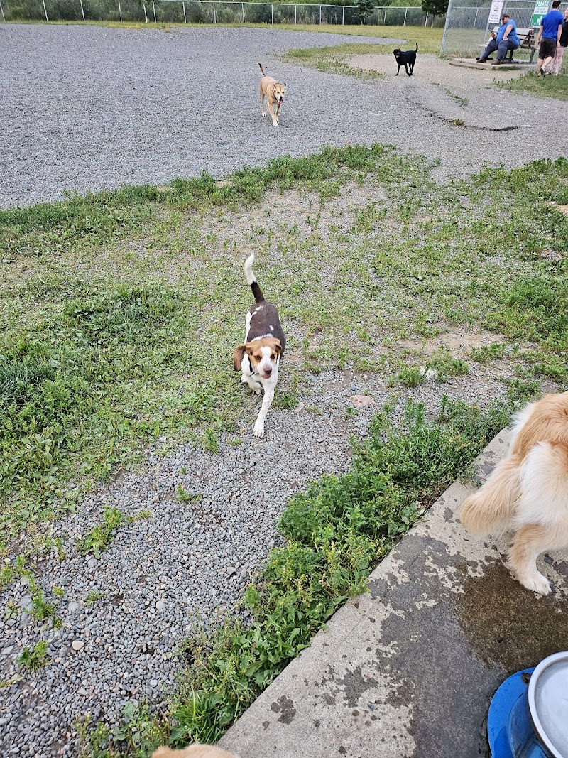 Grand Falls-Windsor Dog Park dog park in Grand Falls-Windsor, Newfoundland and Labrador