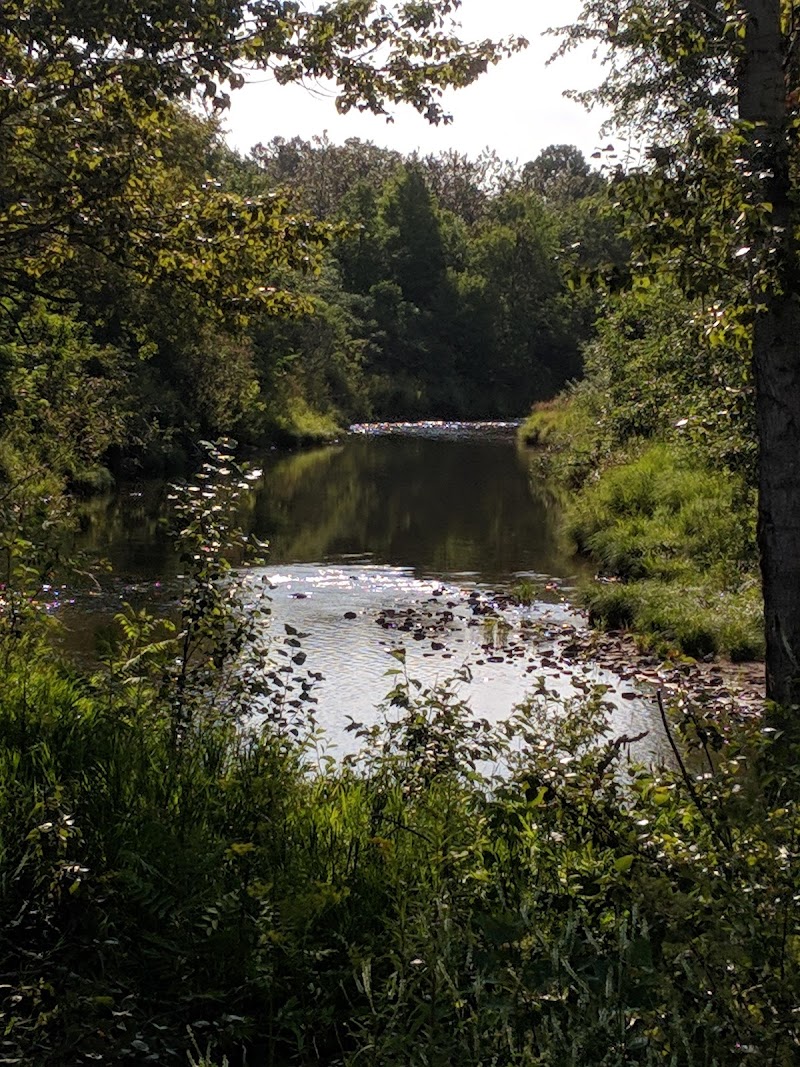 Sussex Bark Park dog park in Sussex, New Brunswick