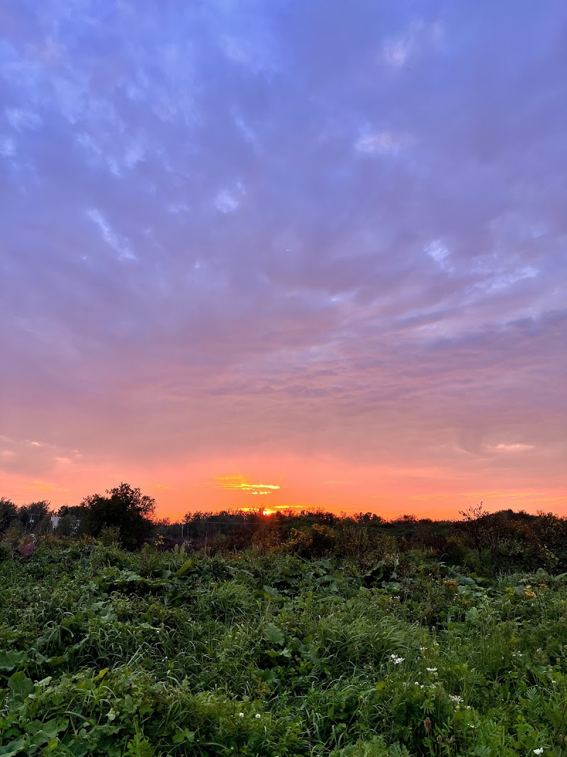Sussex Bark Park dog park in Sussex, New Brunswick