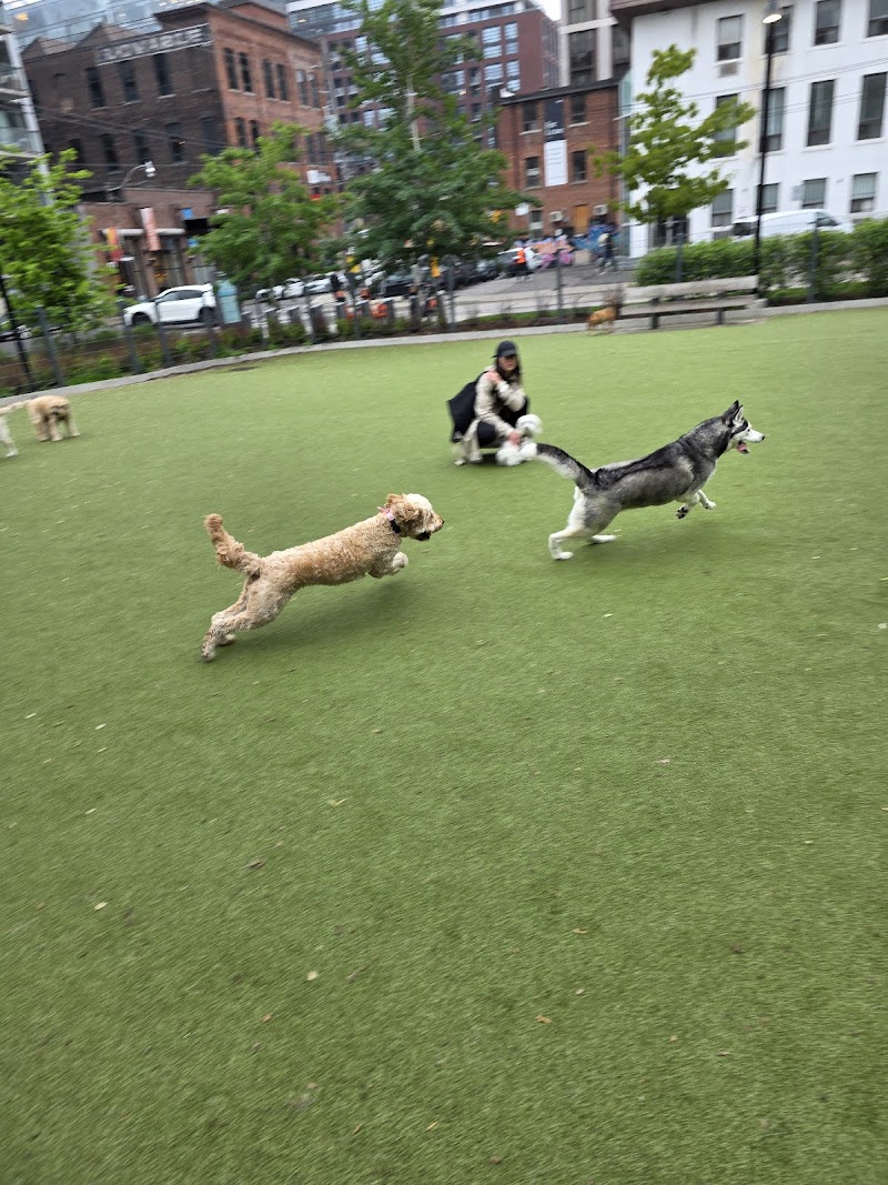 St. Andrew's Playground Dog Park dog park in Toronto, Ontario
