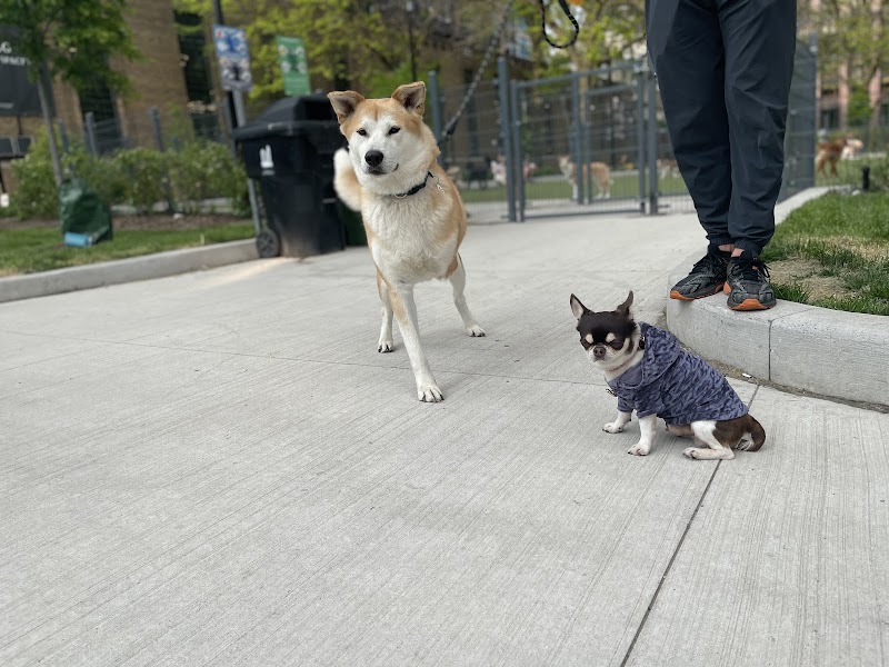 St. Andrew's Playground Dog Park dog park in Toronto, Ontario