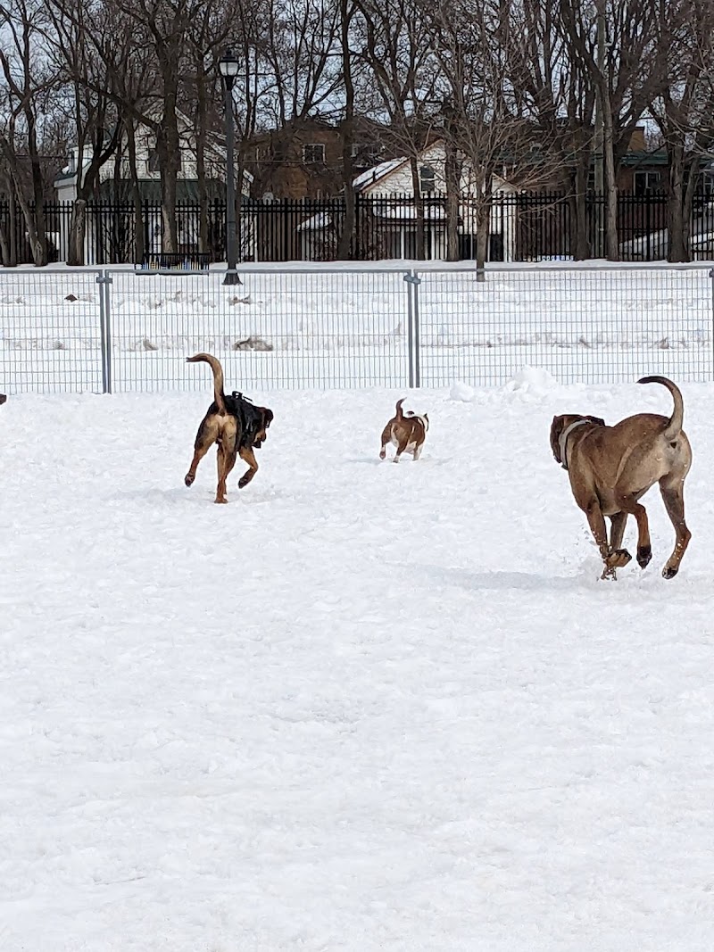 Memorial Centre Off-leash Dog Park dog park in Kingston, Ontario
