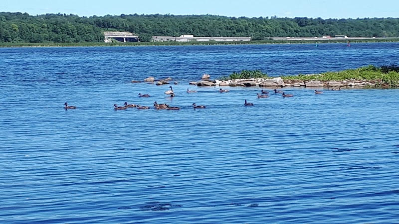 Gore Road Dog Park dog park in Kingston, Ontario