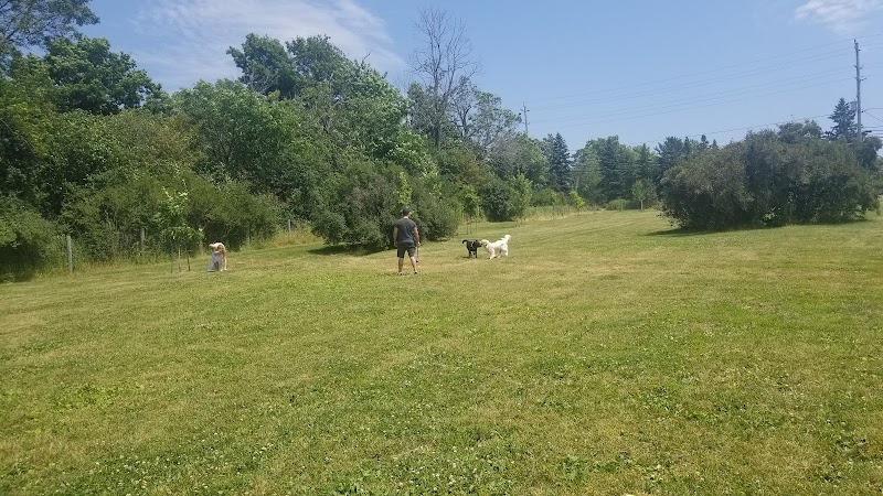 Gore Road Dog Park dog park in Kingston, Ontario