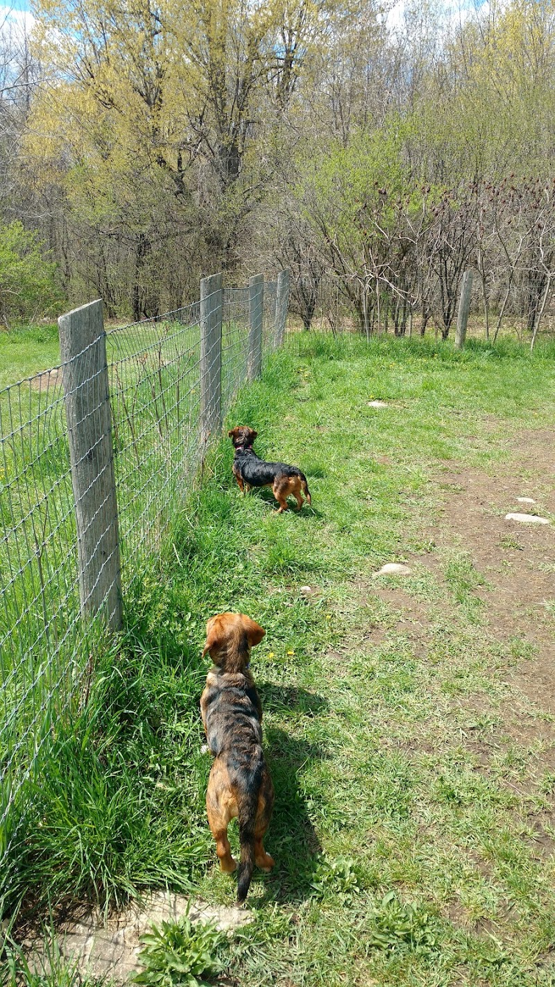 Gore Road Dog Park dog park in Kingston, Ontario