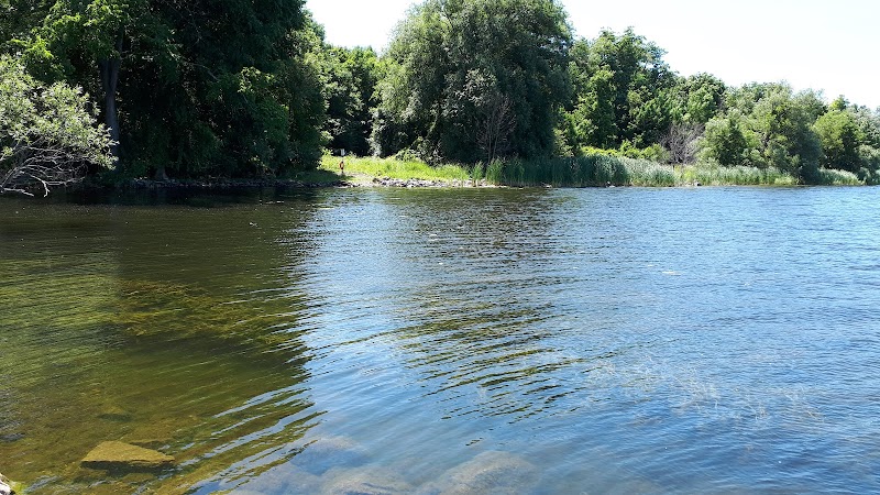 Gore Road Dog Park dog park in Kingston, Ontario