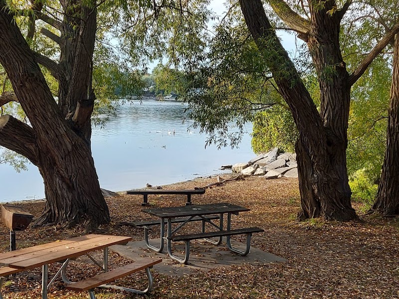 Rotary Park Dog Park dog park in Kingston, Ontario