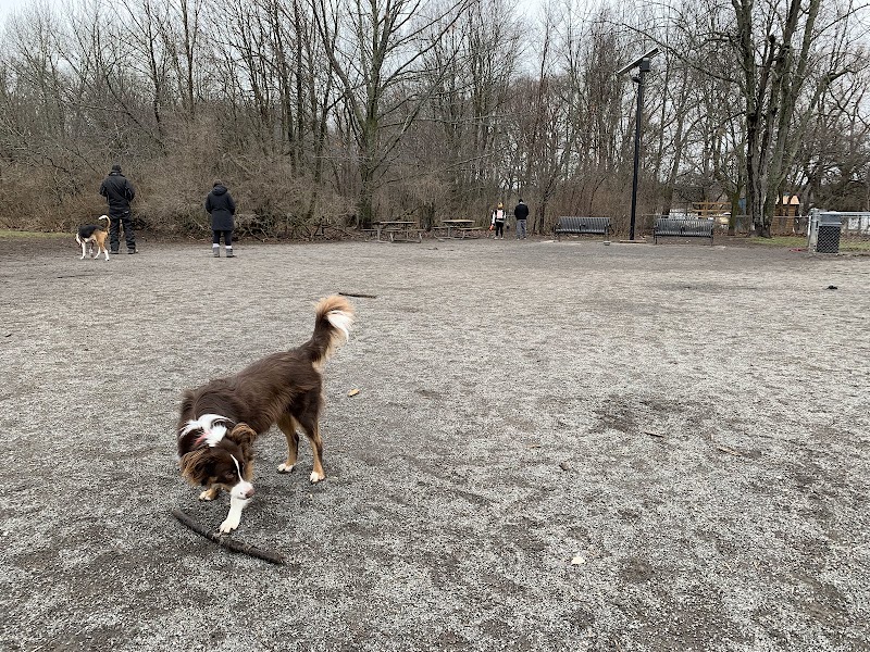 Rotary Park Dog Park dog park in Kingston, Ontario