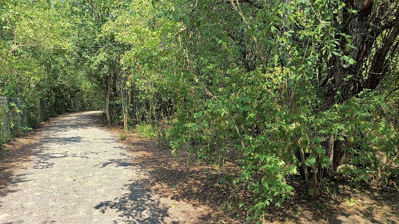 Rotary Park Dog Park dog park in Kingston, Ontario