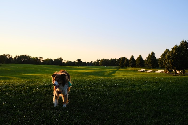 Kingston dog park dog park in Kingston, Ontario