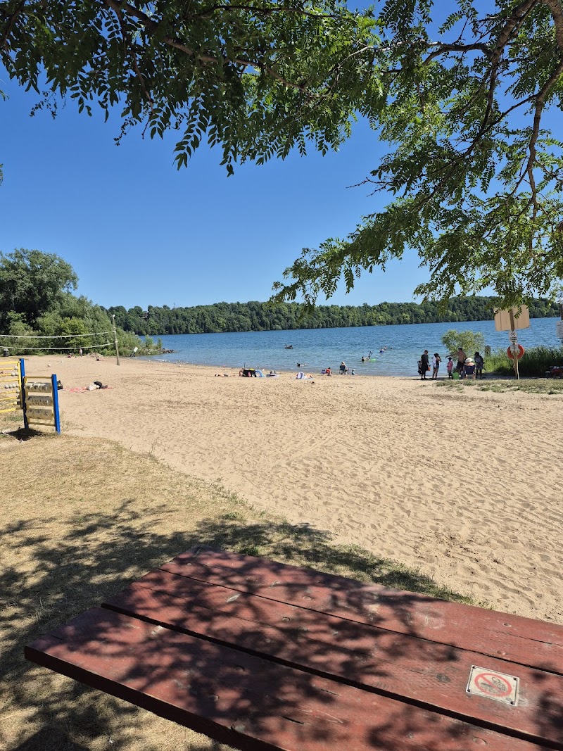 Kingston dog park dog park in Kingston, Ontario