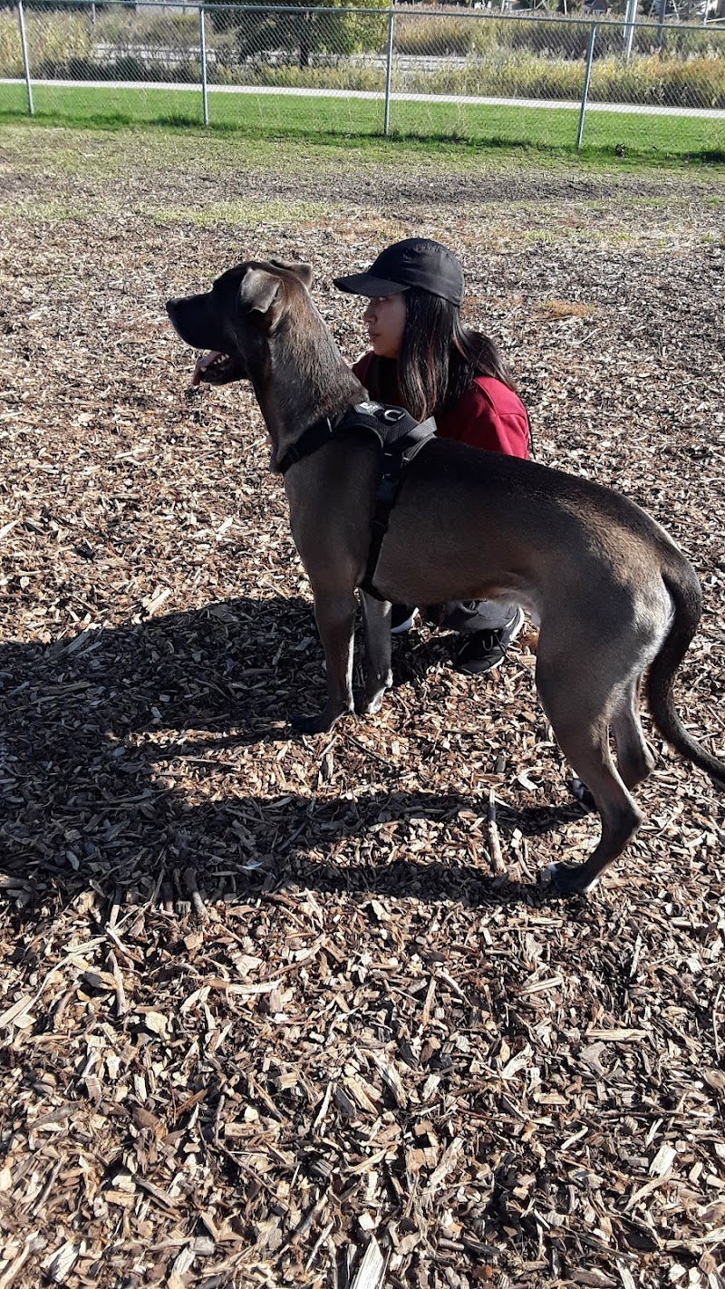 Norton Leash Free Dog Park dog park in Burlington, Ontario