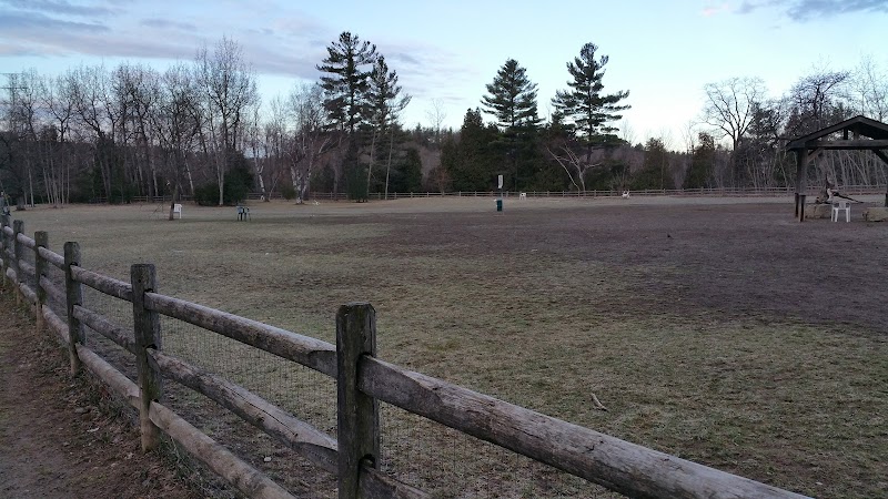 Pickering Dog Park dog park in Pickering, Ontario