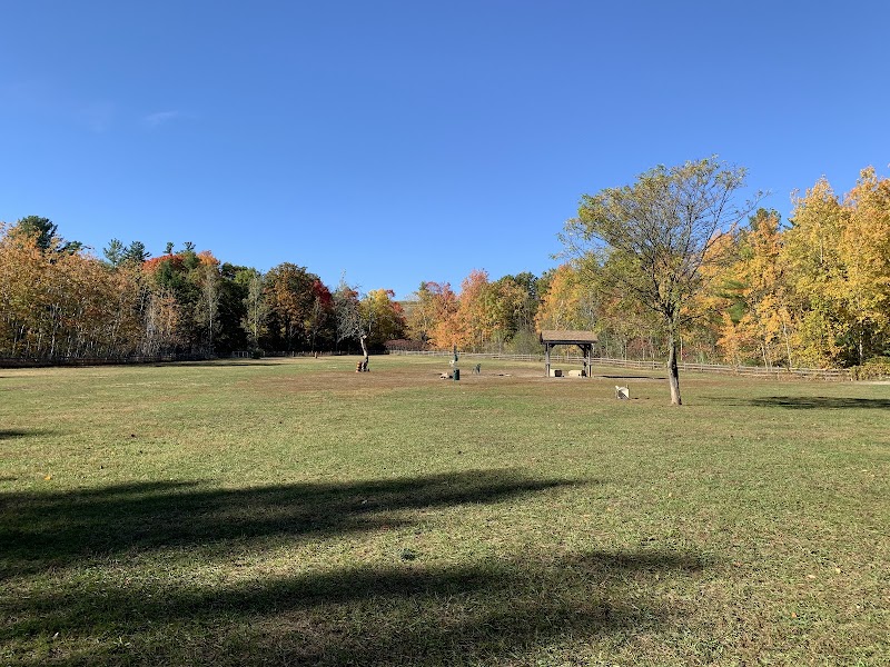 Pickering Dog Park dog park in Pickering, Ontario