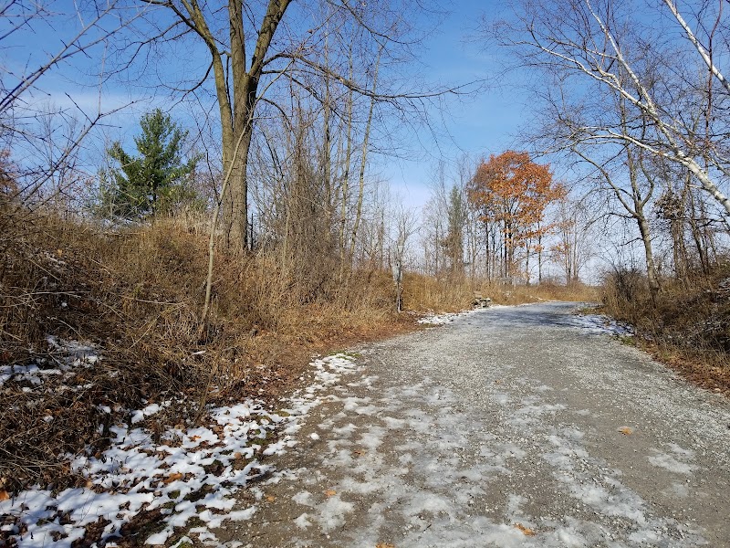 Pickering Dog Park dog park in Pickering, Ontario