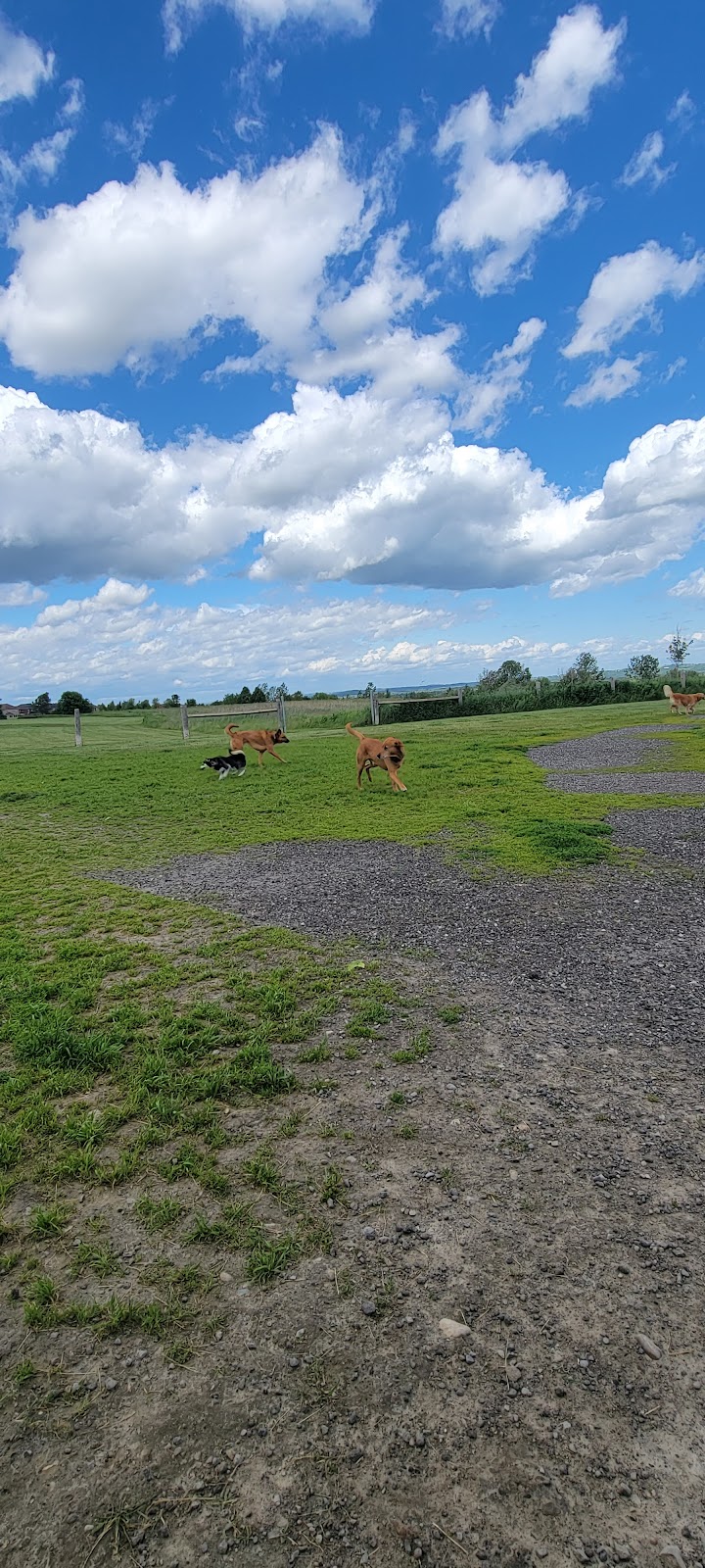 Uxbridge Off-Leash Dog Park dog park in Uxbridge, Ontario