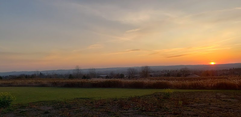 Uxbridge Off-Leash Dog Park dog park in Uxbridge, Ontario