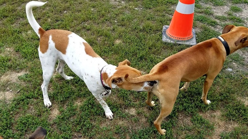 Uxbridge Off-Leash Dog Park dog park in Uxbridge, Ontario