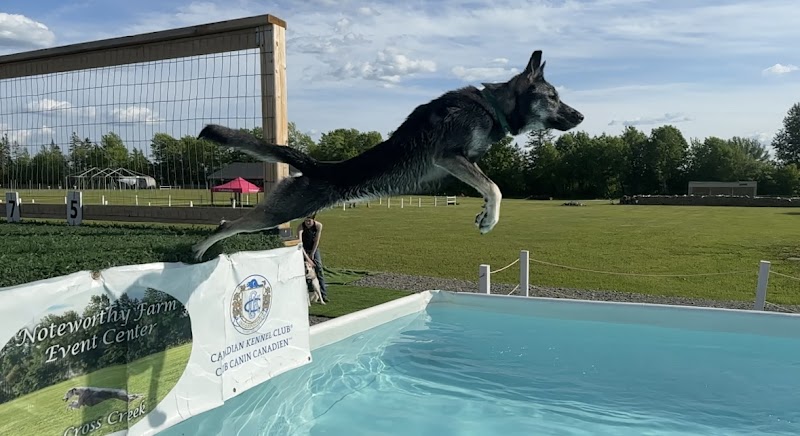 Noteworthy Farm dog park in Cross Creek, New Brunswick