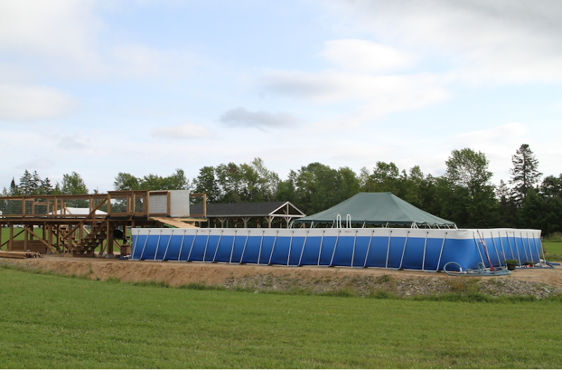 Noteworthy Farm dog park in Cross Creek, New Brunswick