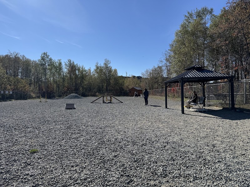 APCRN Dog Park dog park in Rouyn-Noranda, Quebec