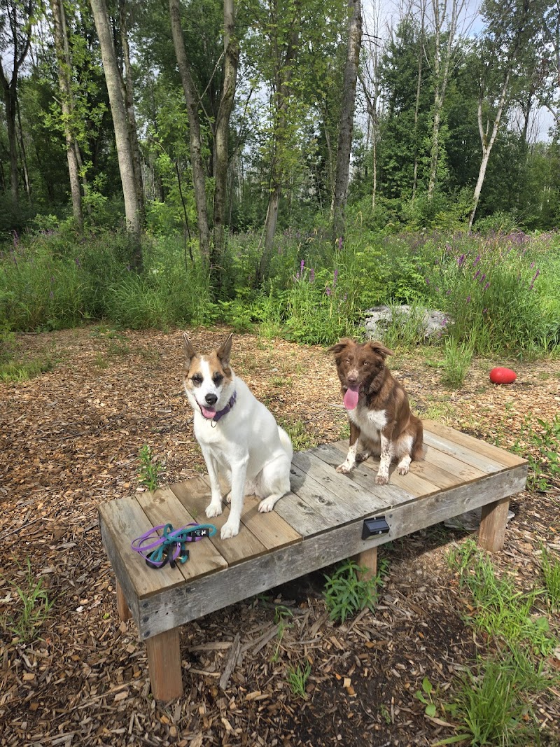 Capital Bark Park dog park in Almonte, Ontario