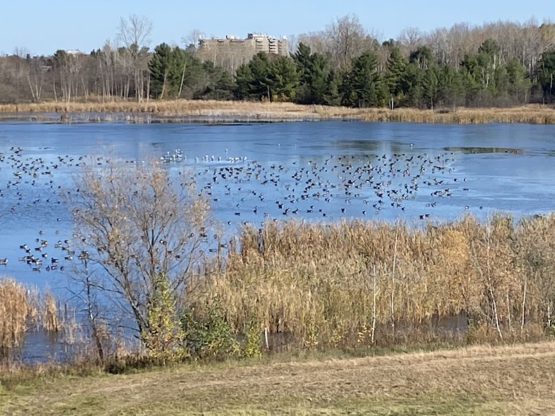 Bruce Pit dog park in Nepean, Ontario