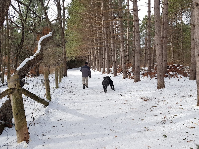 Bruce Pit dog park in Nepean, Ontario