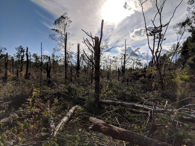 Bruce Pit dog park in Nepean, Ontario