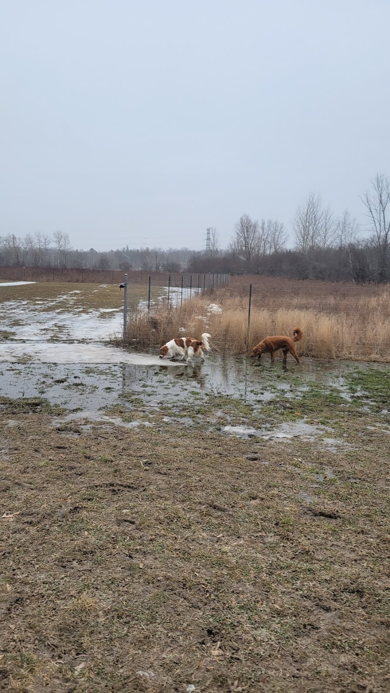 Country Canines Play Park - Cumberland dog park in Ottawa, Ontario