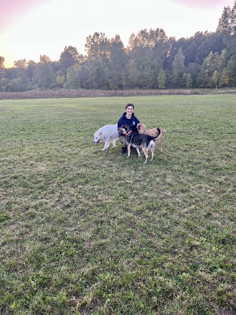 Country Canines Play Park - Cumberland dog park in Ottawa, Ontario