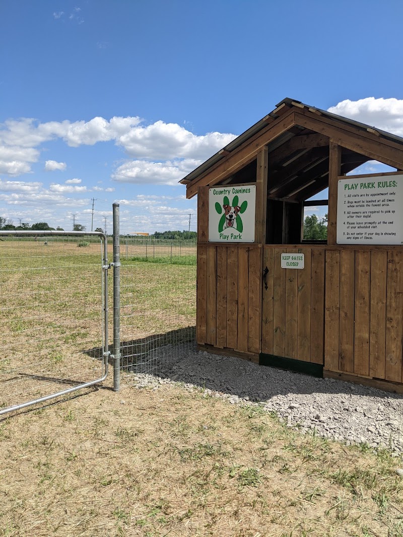 Country Canines Play Park - Cumberland dog park in Ottawa, Ontario
