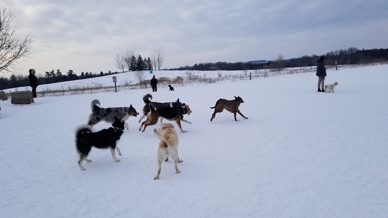 North Whitby Off-Leash Dog Park dog park in Whitby, Ontario